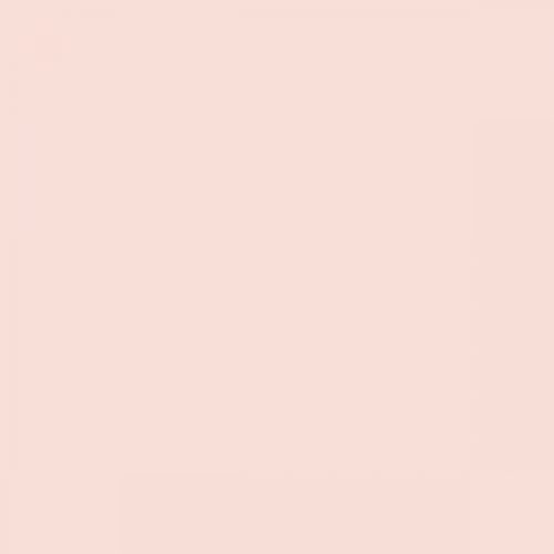 RAL 040 90 10 Aerosol Spray Paint