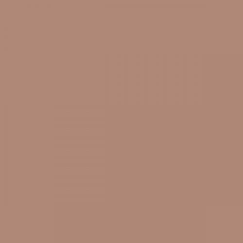 RAL 050 60 20 Aerosol Spray Paint