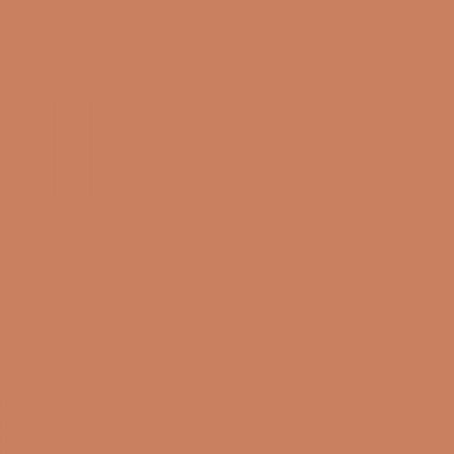 RAL 050 60 40 Aerosol Spray Paint