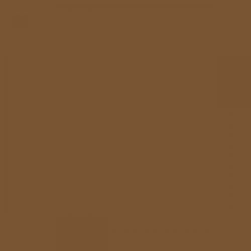 RAL 070 40 30 Aerosol Spray Paint