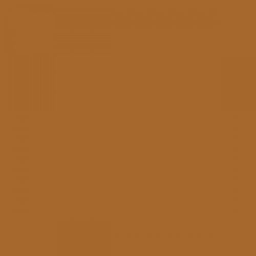 RAL 070 50 55 Aerosol Spray Paint