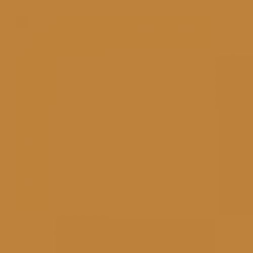 RAL 070 60 50 Aerosol Spray Paint