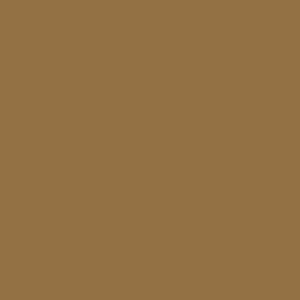 RAL 075 50 30 Aerosol Spray Paint
