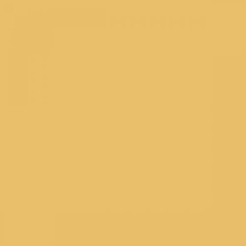 RAL 085 80 50 Aerosol Spray Paint