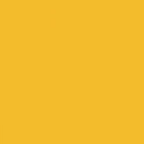 RAL 085 80 85 Aerosol Spray Paint