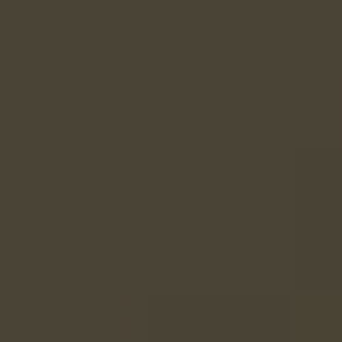 RAL 090 30 10 Aerosol Spray Paint