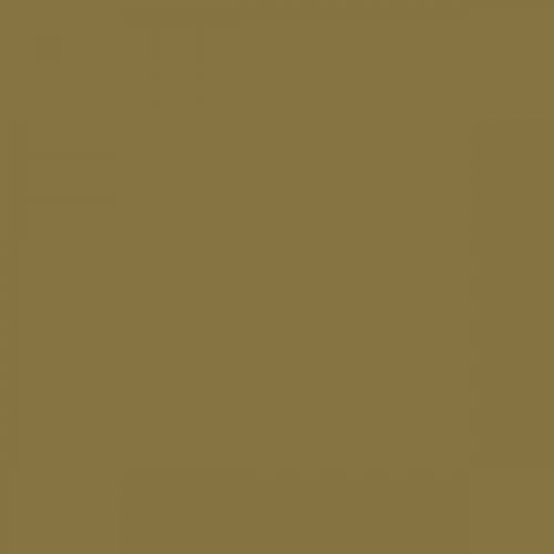 RAL 090 50 30 Aerosol Spray Paint