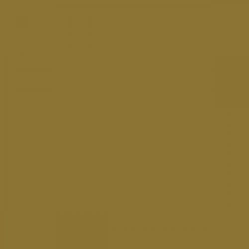 RAL 090 50 30 Aerosol Spray Paint