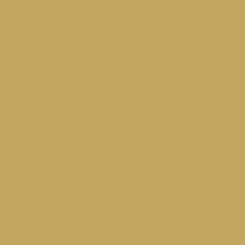 RAL 090 70 40 Aerosol Spray Paint