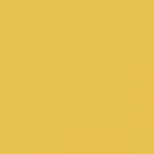 RAL 090 80 60 Aerosol Spray Paint