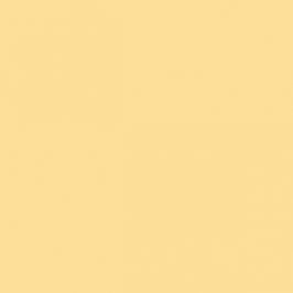 RAL 090 90 40 Lemon cream Aerosol Spray Paint 1K/2K 400ml