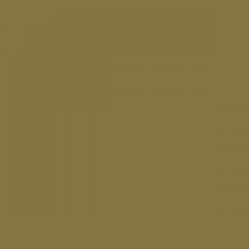 RAL 095 50 30 Aerosol Spray Paint