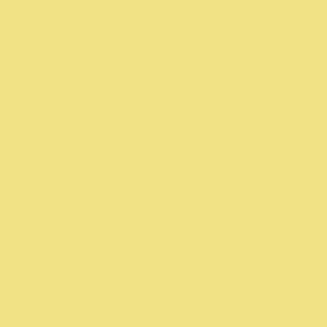 RAL 100 90 50  Spray Paint