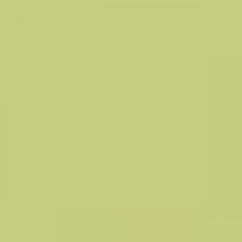 RAL 110 80 40  Spray Paint