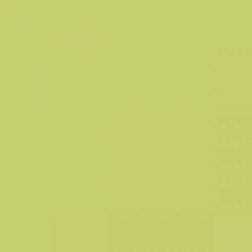 RAL 110 80 50  Spray Paint