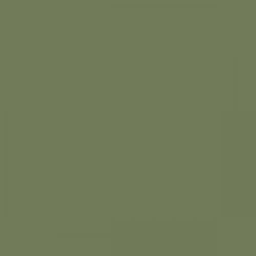 RAL 120 50 20  Spray Paint