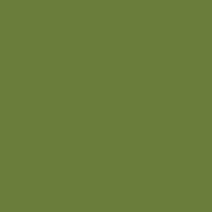 RAL 120 50 40 Spray Paint
