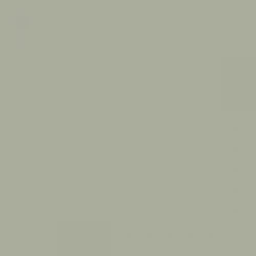 RAL 120 70 10  Spray Paint