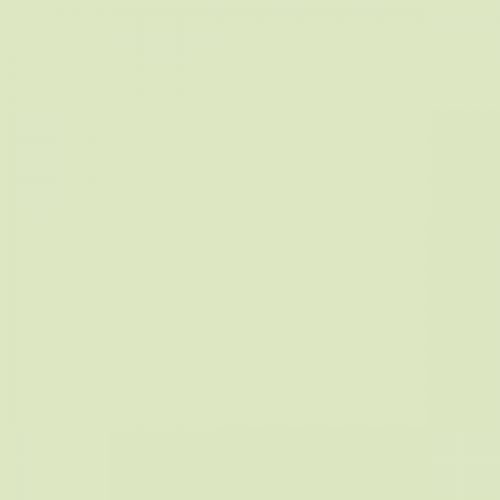 RAL 120 90 20  Spray Paint