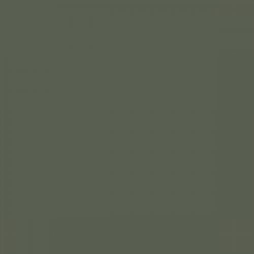 RAL 130 40 10  Spray Paint