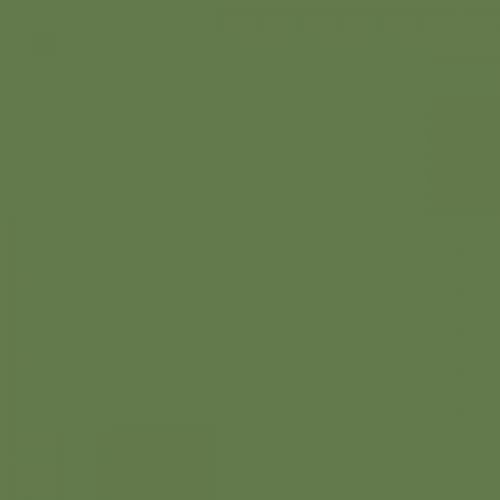 RAL 130 50 30  Spray Paint