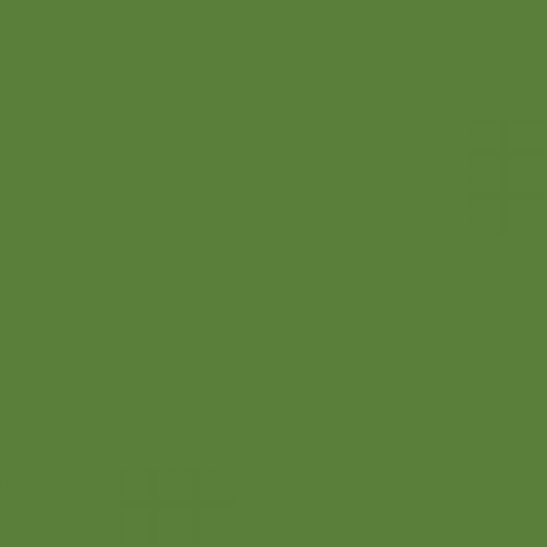 RAL 130 50 40  Spray Paint