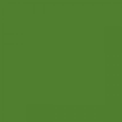 RAL 130 50 50  Spray Paint