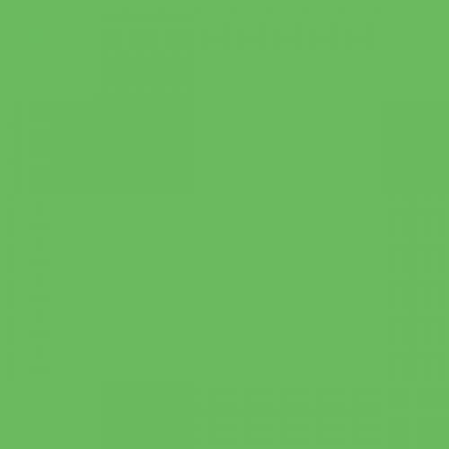 RAL 140 70 60 Spray Paint