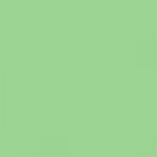 RAL 140 80 40  Spray Paint