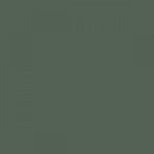 RAL 150 40 10  Spray Paint