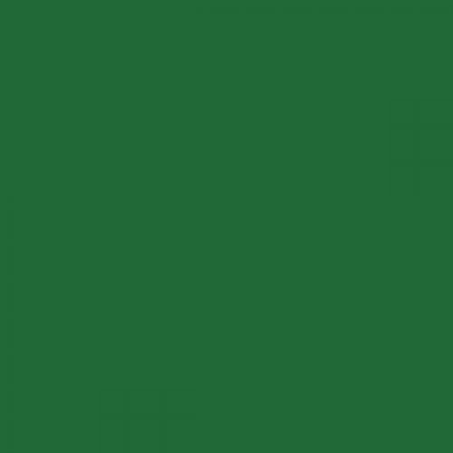 RAL 150 40 40  Spray Paint