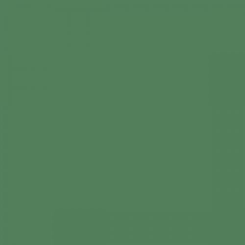 RAL 150 50 30  Spray Paint