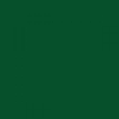 RAL 160 30 40  Spray Paint