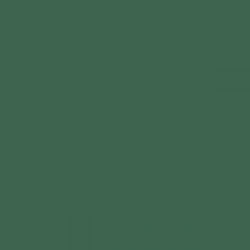 RAL 160 40 20  Spray Paint