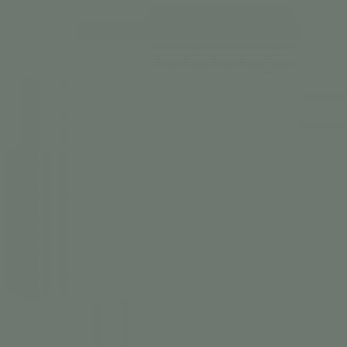 RAL 160 50 05 Spray Paint