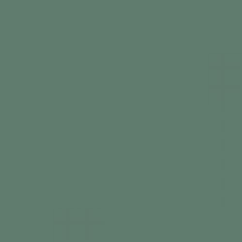 RAL 160 50 15  Spray Paint