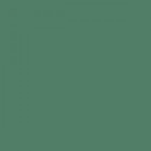 RAL 160 50 25  Spray Paint