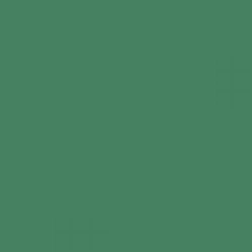 RAL 160 50 30  Spray Paint