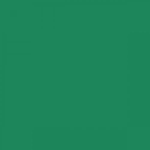 RAL 160 50 45  Spray Paint