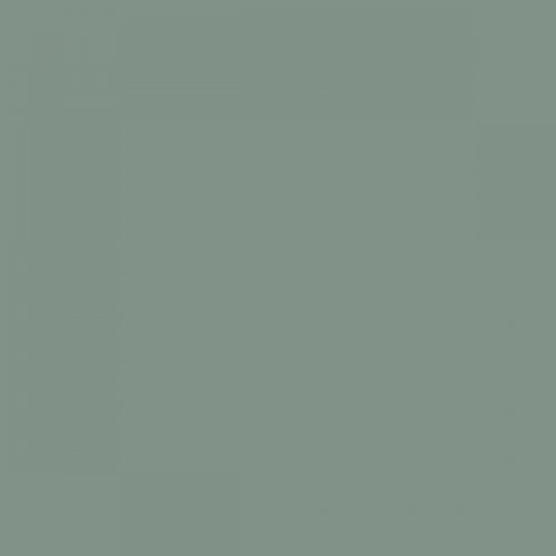 RAL 160 60 10 Spray Paint