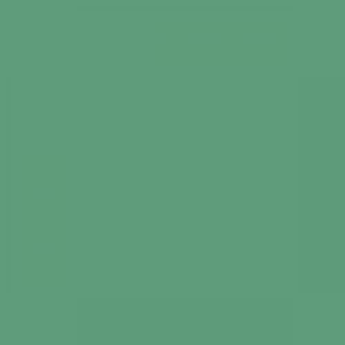 RAL 160 60 30  Spray Paint