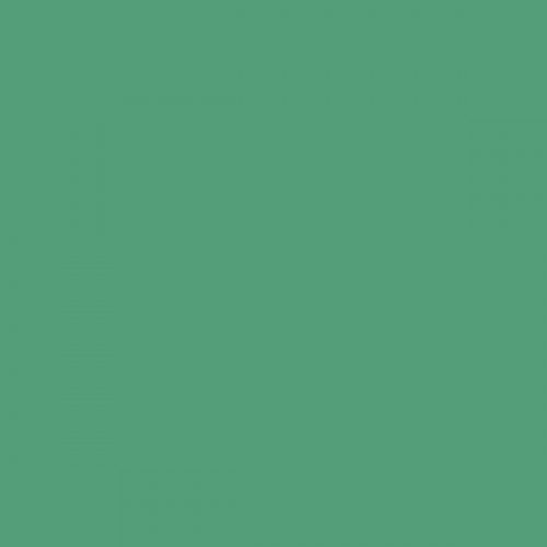 RAL 160 60 35  Spray Paint