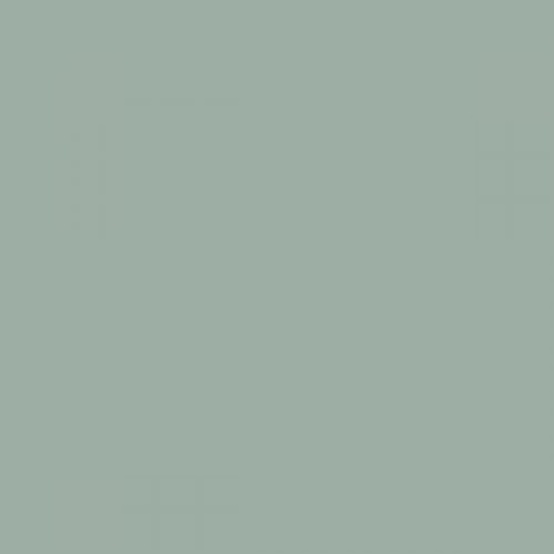 RAL 160 70 10  Spray Paint