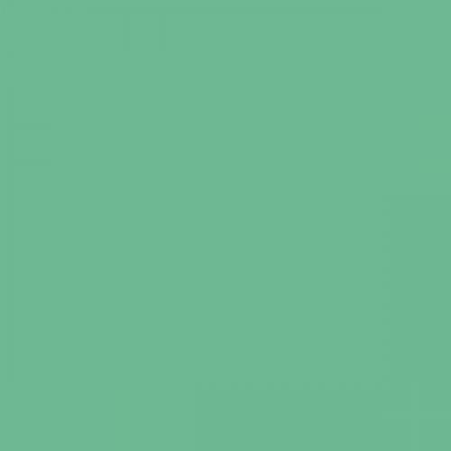 RAL 160 70 35  Spray Paint