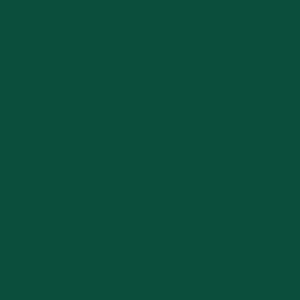 RAL 170 30 25  Spray Paint