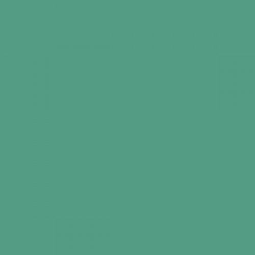 RAL 170 60 30  Spray Paint