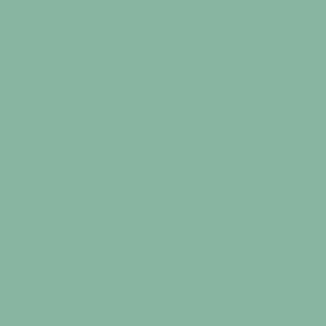RAL 170 70 20
Spray Paint