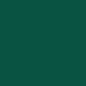 RAL 180 30 35
Spray Paint