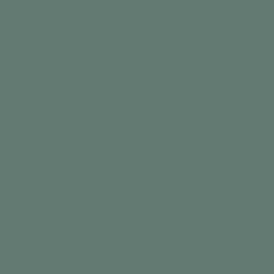 RAL 180 50 10  Spray Paint
