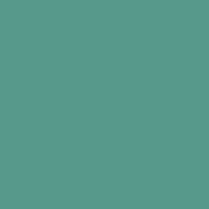 RAL 180 60 25
Spray Paint